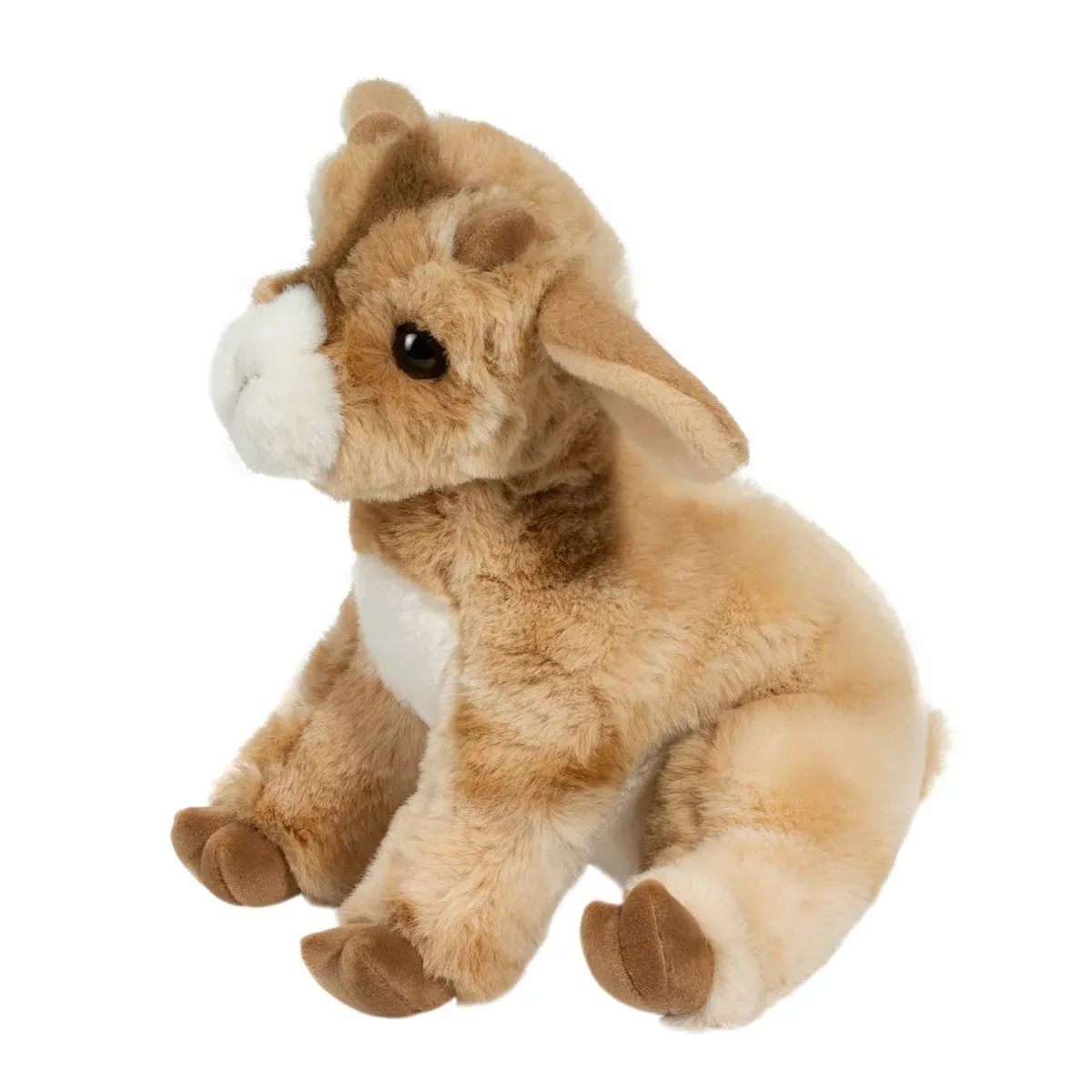 Douglas Soft Dandie Goat