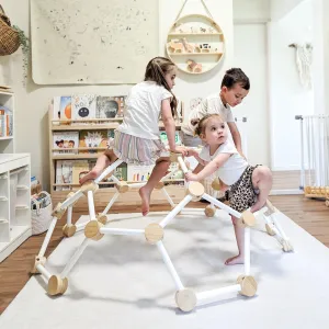 Kids Climbing Dome