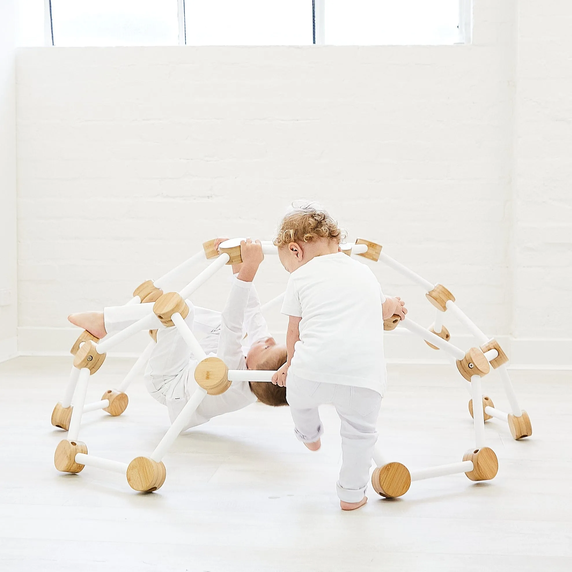 Kids Climbing Dome