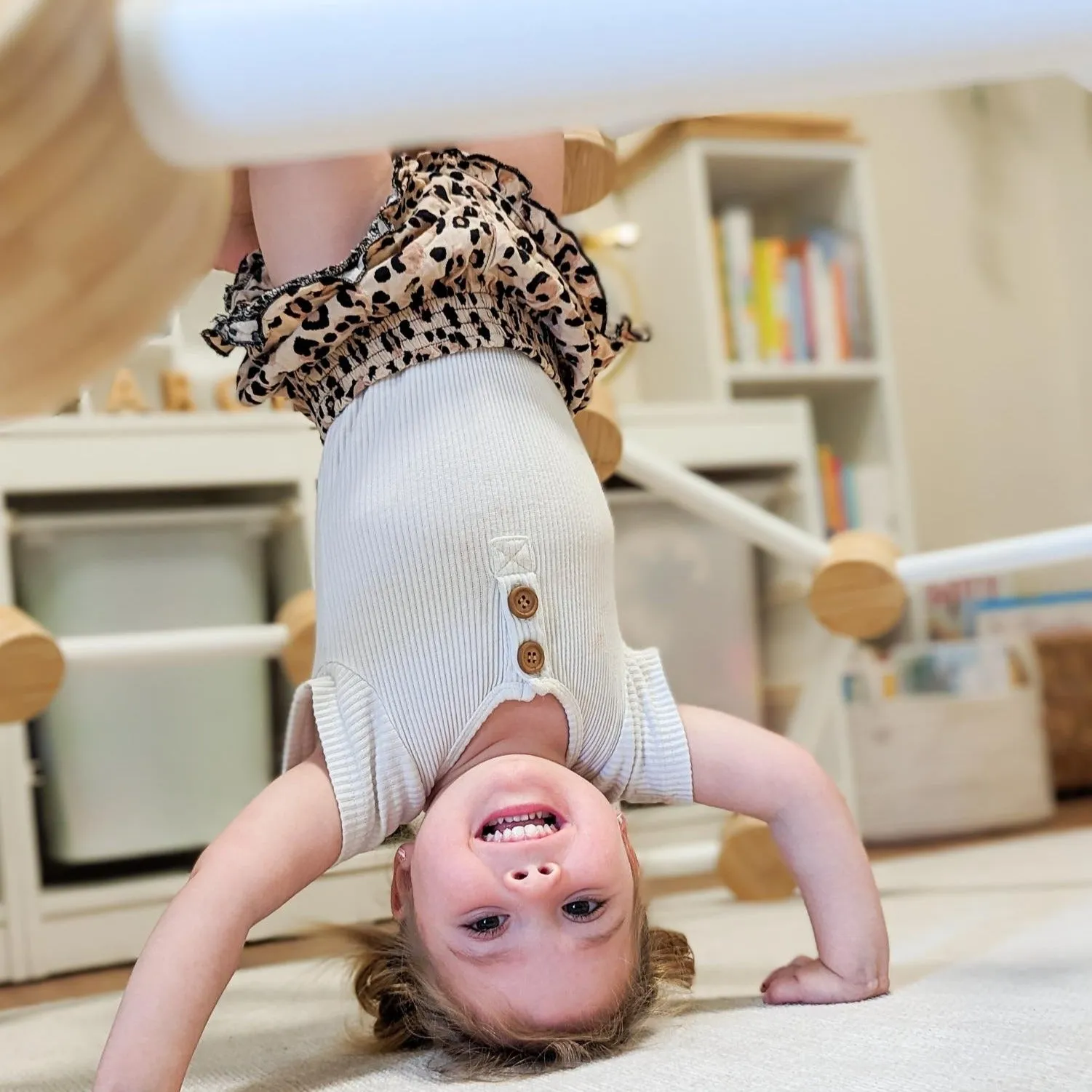 Kids Climbing Dome