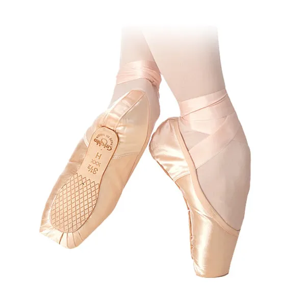 Nikolay Triumph Pointe Shoe