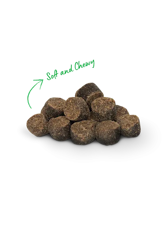 Open Farm Be Good Bites Chicken Recipe 6-oz, Dog Treat