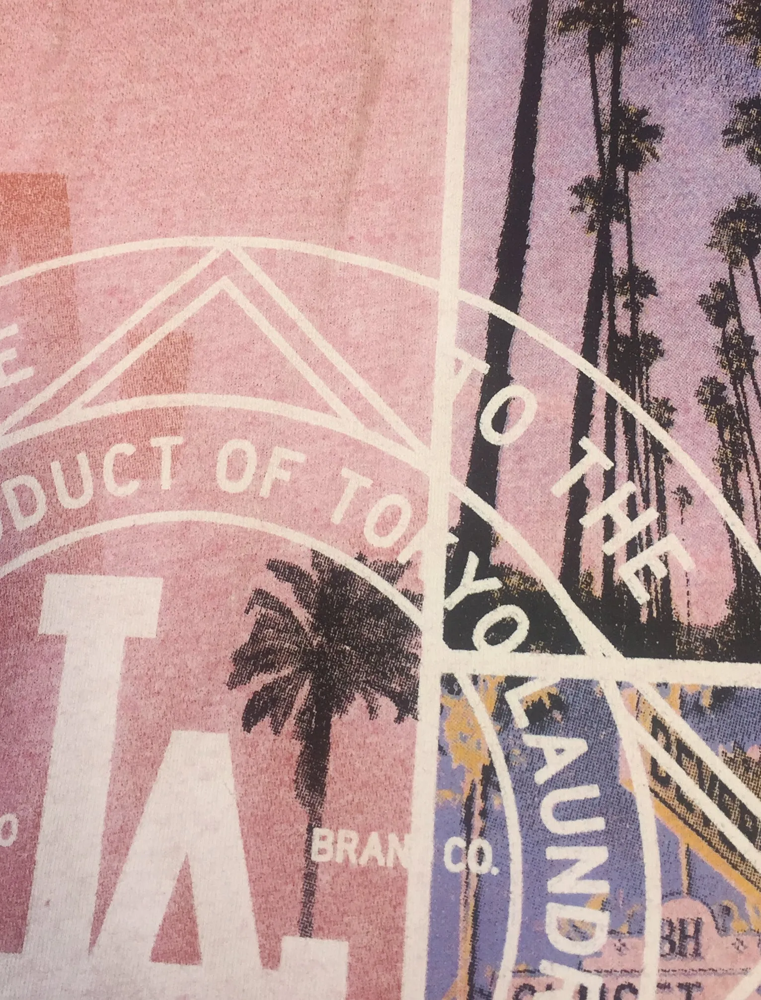 Pasadena Burnout T-Shirt in Pink Rose - Tokyo Laundry