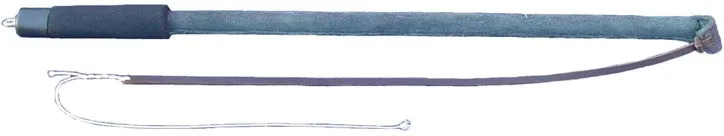 Training whip with soft handle